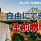 自由にできる生前贈与_税理士・行政書士 藤井英雄