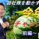 自社株を動かすなら今年がチャンス!前編_税理士・行政書士 藤井英雄